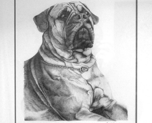 artwork commissions dog