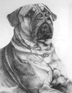 artwork commission dog