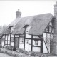 artwork commissions cottage