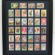 bespoke picture framing cards