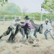 artwork commissions bull fight