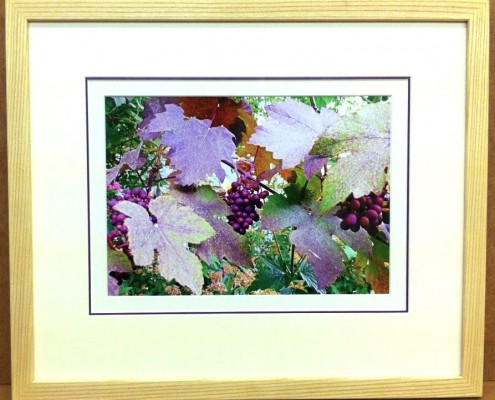 bespoke picture framing nature leaves