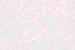 artwork poppies background